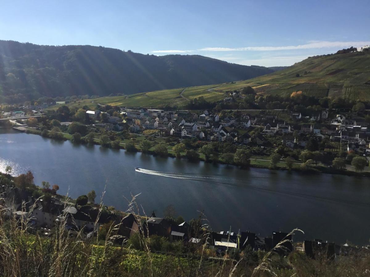 Mosel-Appartements Nehren Zell Eksteriør billede