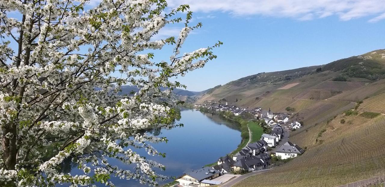 Mosel-Appartements Nehren Zell Eksteriør billede