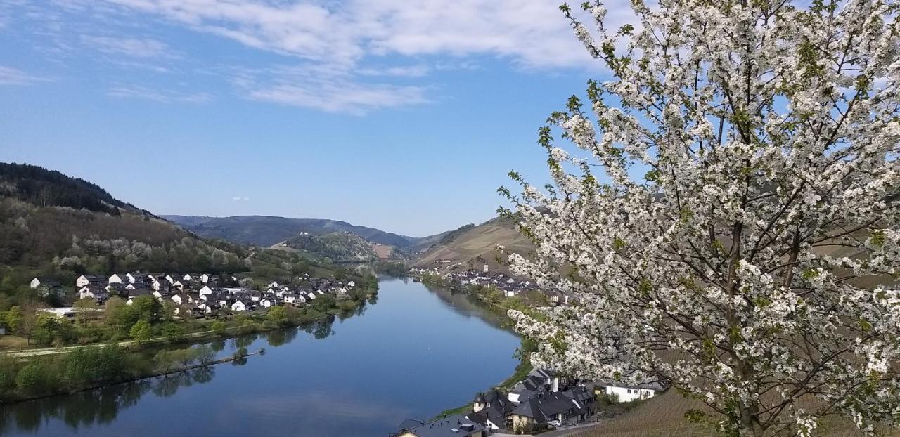 Mosel-Appartements Nehren Zell Eksteriør billede