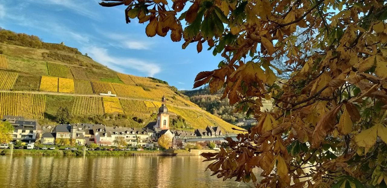 Mosel-Appartements Nehren Zell Eksteriør billede